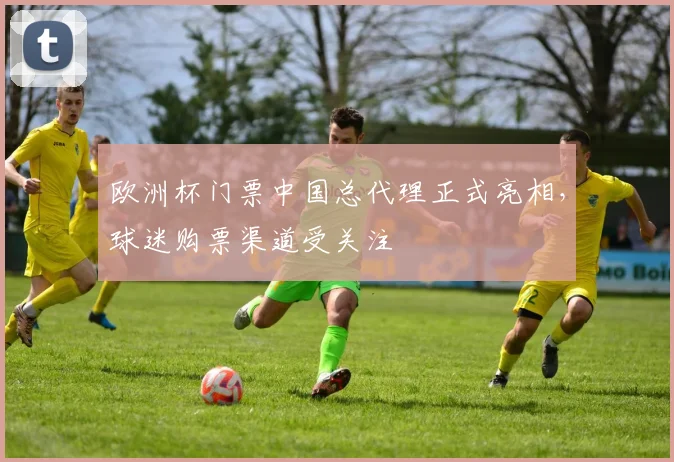 欧洲杯门票中国总代理正式亮相,球迷购票渠道受关注