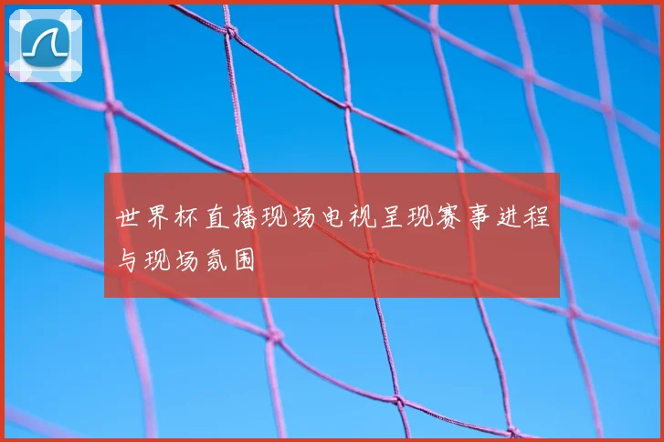 世界杯直播现场电视呈现赛事进程与现场氛围