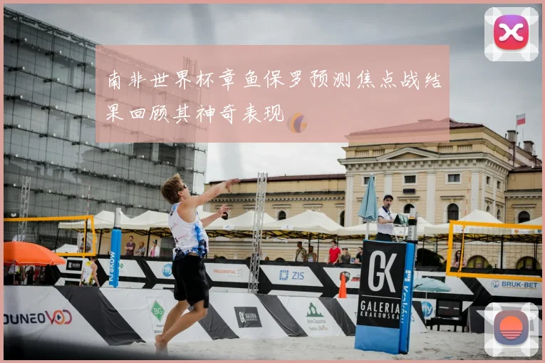 南非世界杯章鱼保罗预测焦点战结果回顾其神奇表现