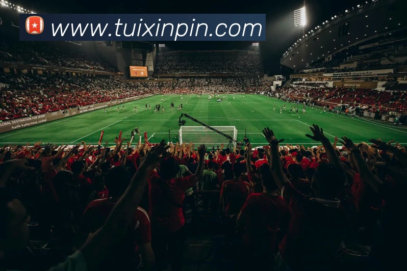 云开体育在线登陆APP 封面图